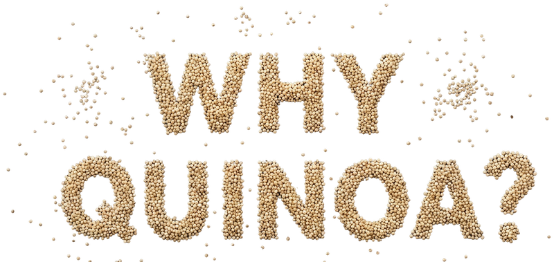Why Quinoa